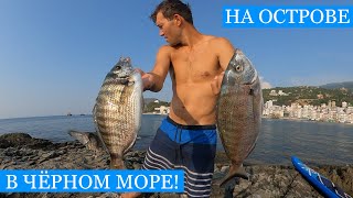 видео: Ночёвка на ОСТРОВЕ с ручной ЧАЙКОЙ! Первый полет, рыбалка, нырялка, шквал, костер и морской коктейль картинка: Ночёвка на ОСТРОВЕ с ручной ЧАЙКОЙ! Первый полет, рыбалка, нырялка, шквал, костер и морской коктейль