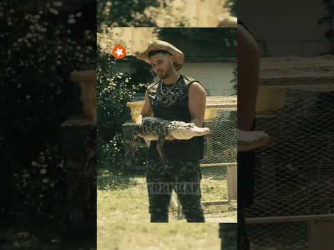 Орешек хочет есть Название: Уэйн (2019) #фильм #сериал #моменты