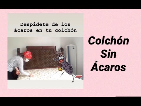 Cómo eliminar los ácaros de tus colchones 