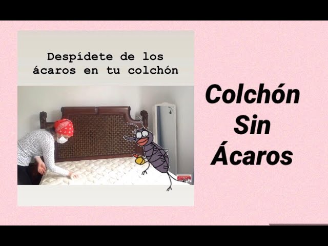 Elimina los ácaros y saca manchas, la mezcla definitiva para limpiar los  colchones y muebles de tela