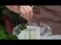 "Transform Your Snake Plant’s Health: Master Soil pH Adjustments Using Ferrous Sulfate." #gardening
