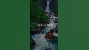 القران الكريم بصوت الشيخ ماهر المعيقلي
