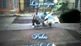 Lagartijos 17