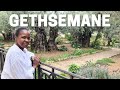 Gethsemane Where Jesus Was Arrested ||  Judas Betrayed Jesus With a Kiss