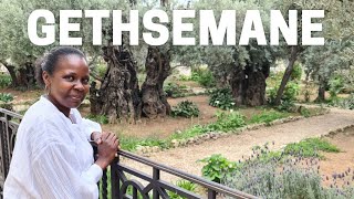 Gethsemane Where Jesus Was Arrested || Judas Betrayed Jesus With a Kiss