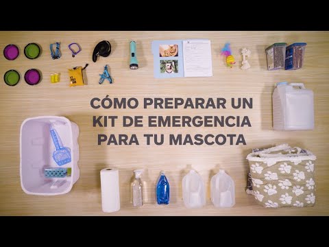 Video: Cómo armar una bolsa de emergencia para sus mascotas