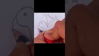 Flying bird drawing