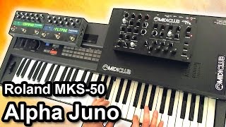 ROLAND Alpha Juno / MKS-50 - Ambient piano music soundscape 【SYNTH DEMO】 screenshot 2