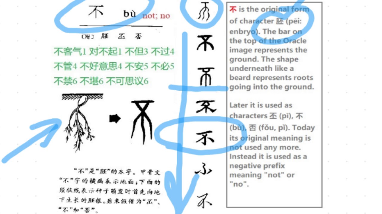 Chinese Character Evolution 汉字演变 HSK1【不】 - YouTube