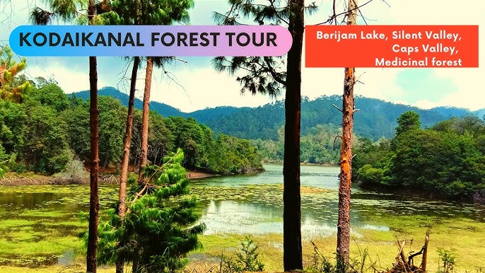 Berijam Lake | Kodaikanal | Travel video - YouTube
