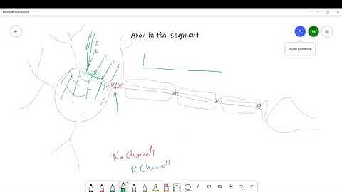 what is the axon initial segment