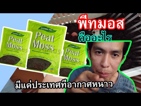 วีดีโอ: Sphagnum Moss Peat Moss - ความแตกต่างระหว่าง Sphagnum Moss และ Sphagnum Peat คืออะไร