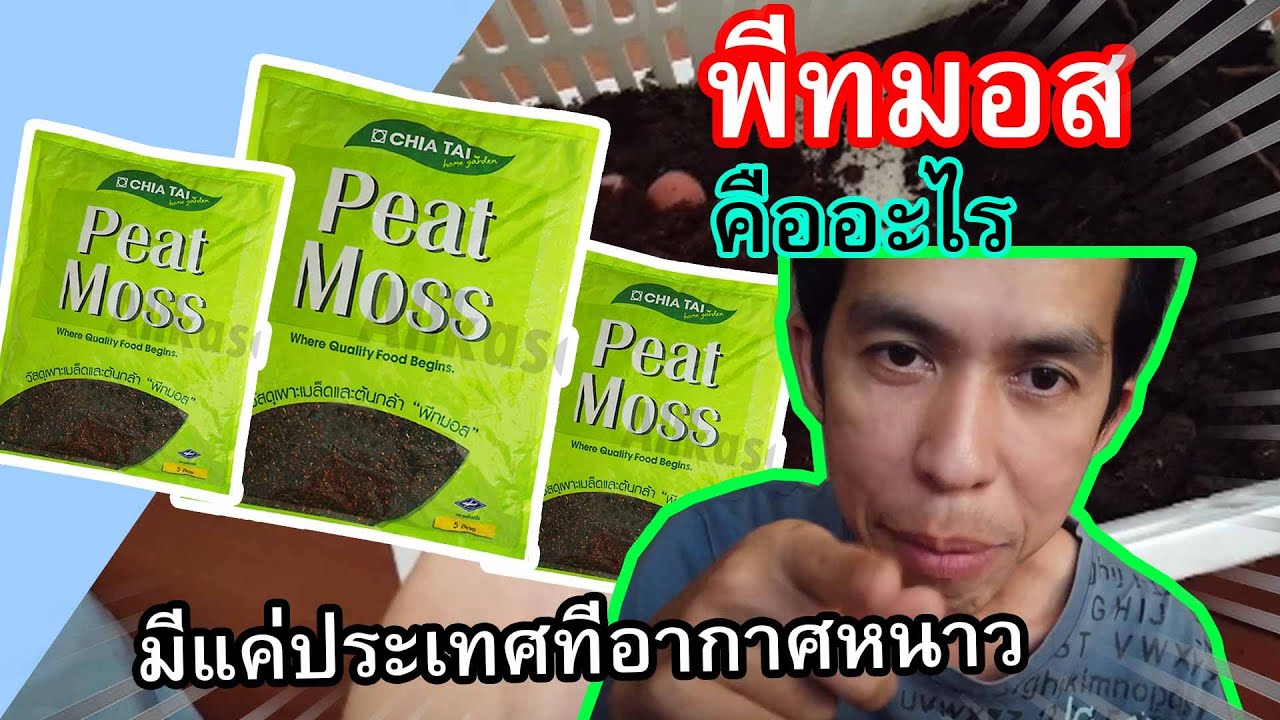 พีทมอส คืออะไร (peat moss)