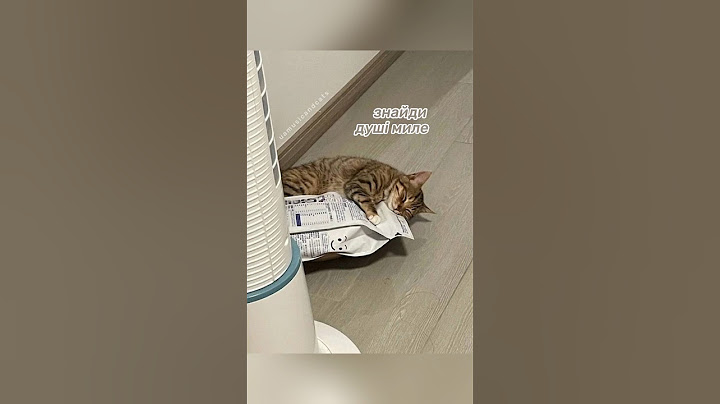 🐾 Klavdia Petrivna, Маша Кондратенко – Їде дах