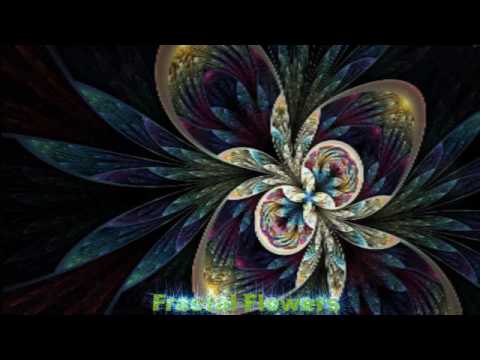 morphing amazing fractal flowers