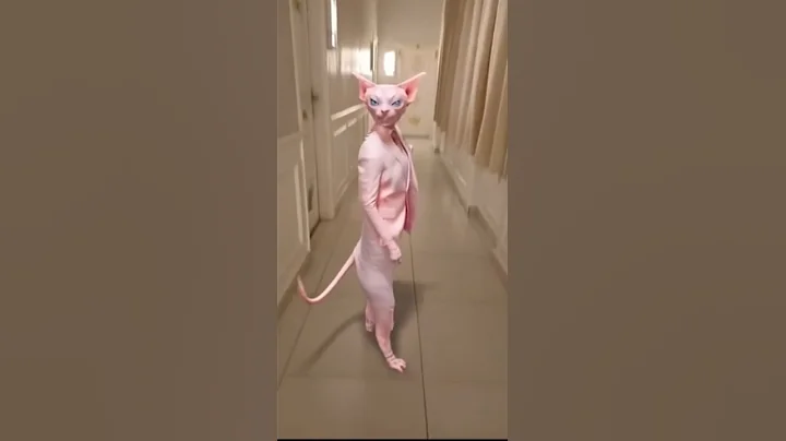 Watch the video about #cat #lol #funny #happy #eidmubarak #eid #sphynx #explore