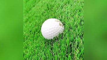 18767 putting green installation video fixturedisplays indoor outdoor 19x12 feet 3D