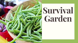Survival Garden: 7 Recommended Crops & 3 Tips