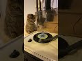 IEKI吐くまで プレーヤーテスト