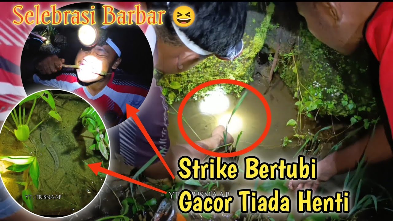 FULL STRIKE ‼️SPOT BARU PENUH GEBRAKAN 😆😍