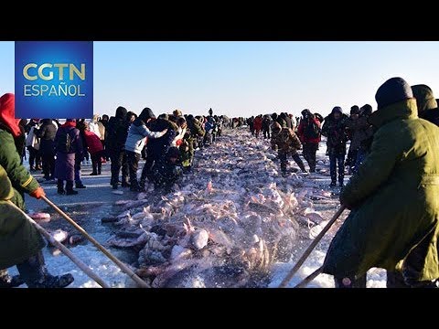 Vídeo: Envenenamiento De Pescadores En El Lago Surzi - Vista Alternativa