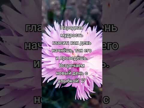 Встречаем новый день с улыбкой! ツ #доброеутро #хорошегодня ツ