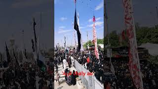 چلے اؤ noha @BasimKarbalaei #alikhamenei #iykyk #illmatic #islamicshorts #islam