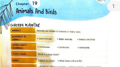 My green world chapter 19 class 3 full chapter in Hindi explained