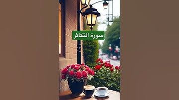 #القرآن_الكريم #سورة_التكاثر #القران_الكريم #ماهر_المعيقلي #islamicvideo