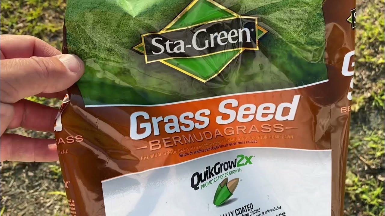 StaGreen Grass QuikGrow Seed Review YouTube