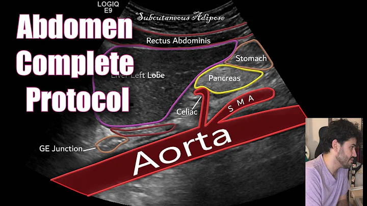 US Abdomen Complete Protocol
