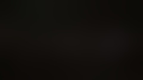 The Raconteurs - Salute Your Solution ZOMBIE VIDEO