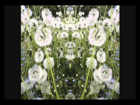 Mein Verzauberter Garten Im Mai Youtube