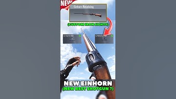 New Einhorn Revolting = Best Shotgun? #codm
