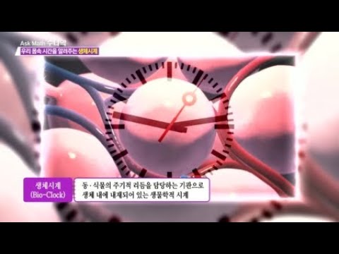 [Find Math 2] 생명과학과 수학 / YTN 사이언스