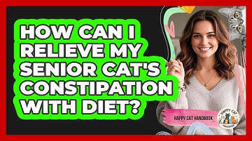 How Can I Relieve My Senior Cat