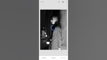snapseed black and white photo Editing tutorial