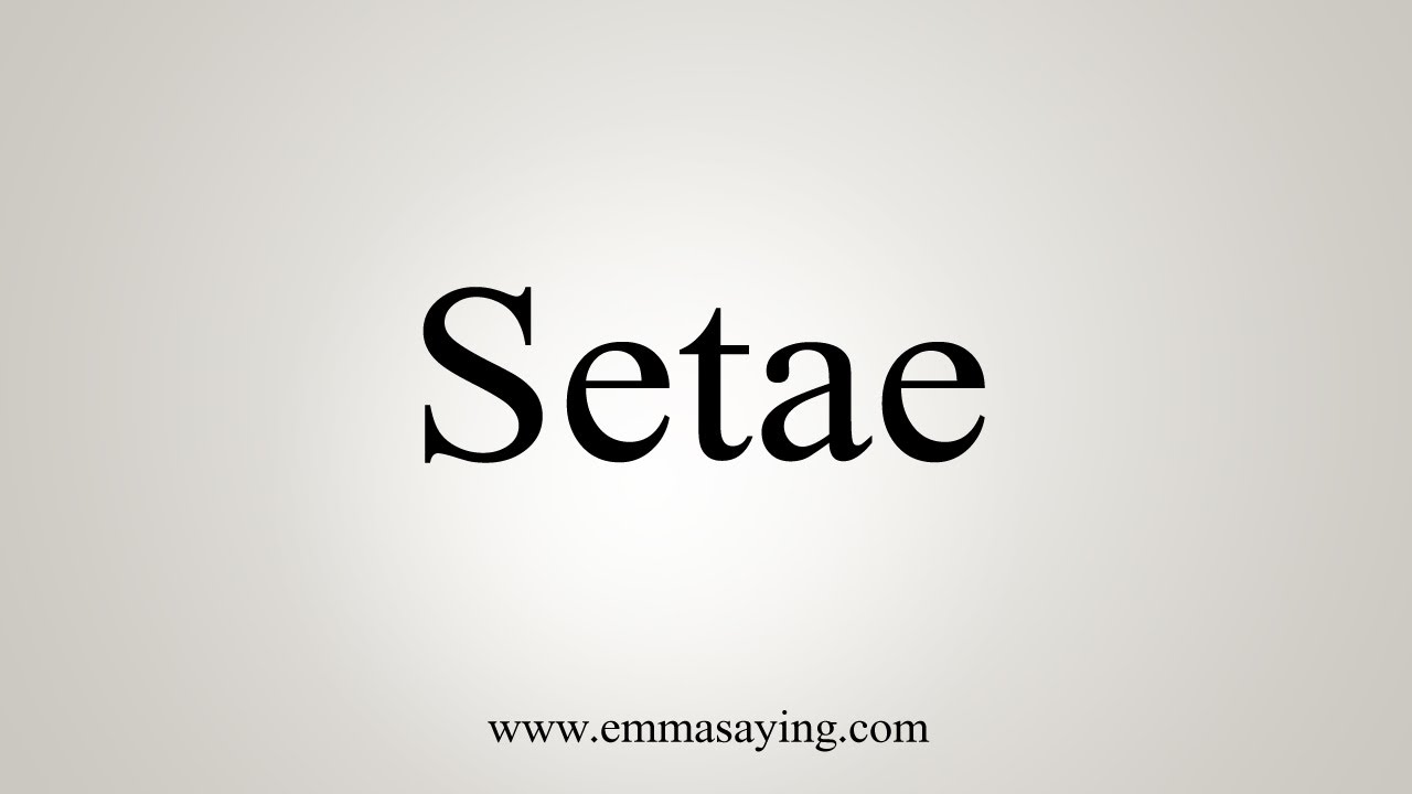 How To Say Setae Youtube