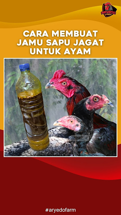 Cara Membuat Jamu Sapu Jagat Untuk Ayam