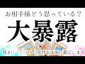 【大暴露】❤️聞きたくても聞けない❤️１５個の質問！お相手様の感情を占いました【辛口忖度一切なし・本格タロット】