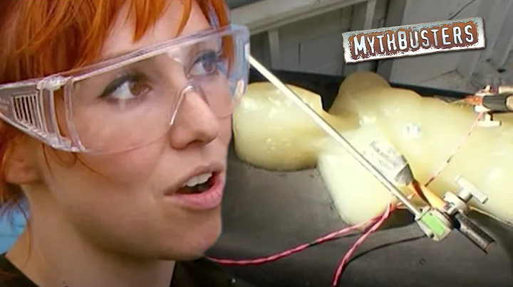 5 Internet Myths That Actually Turned Out to Be True | MythBusters