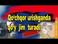 RTdan va'z: Qo‘chqor urishganda  qo‘y jim turadi