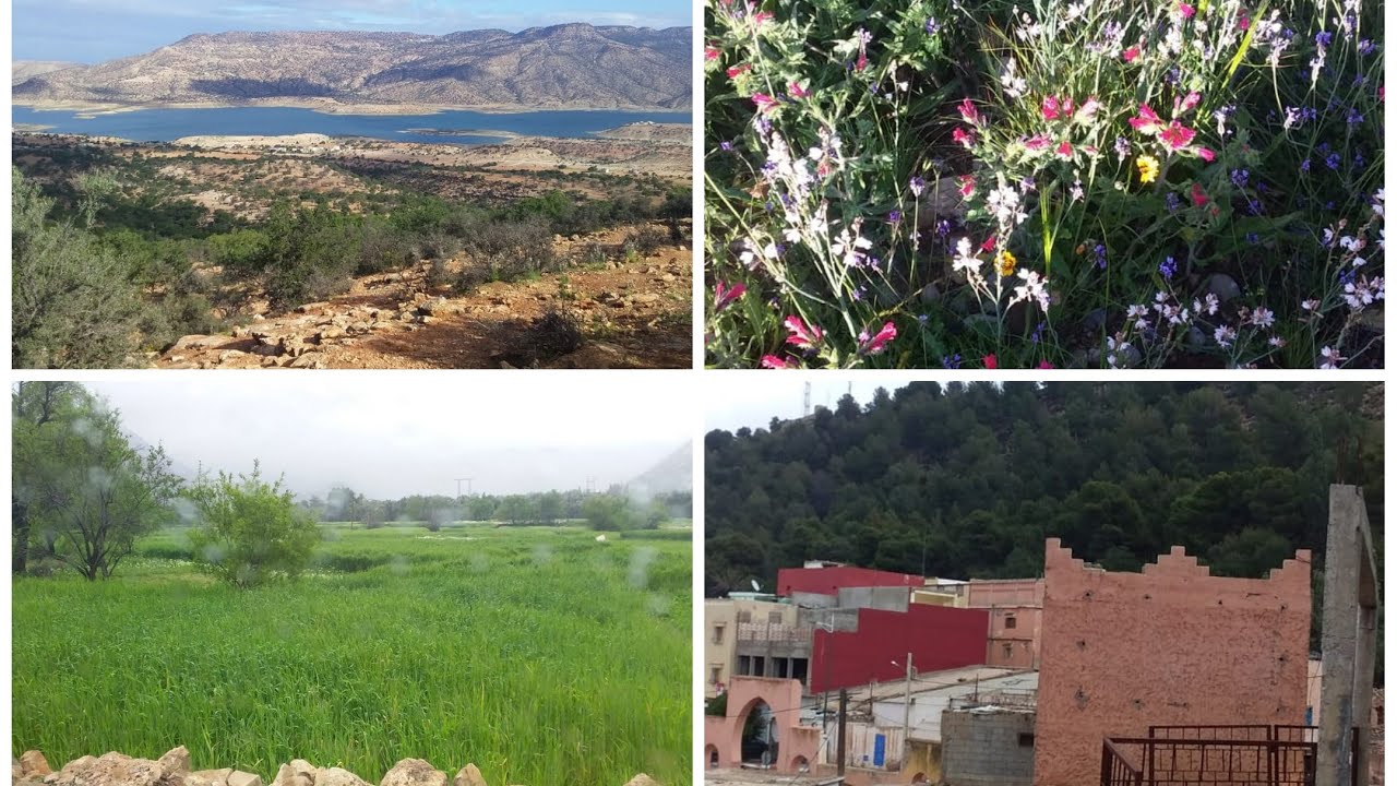 مناظر الطبيعة الرائعة بشمال اكادير تامري الساحرة  بعد نزول امطار الخير بالمنطقة