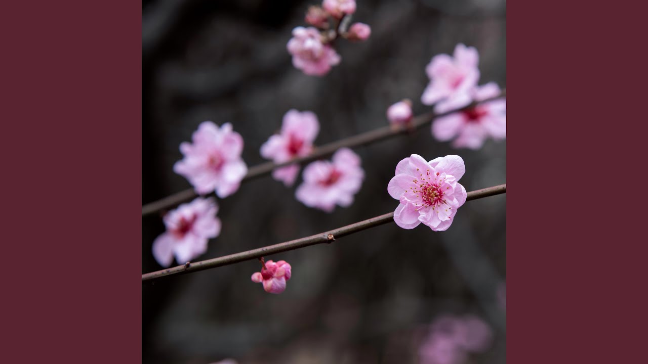 Standing on your word lord
