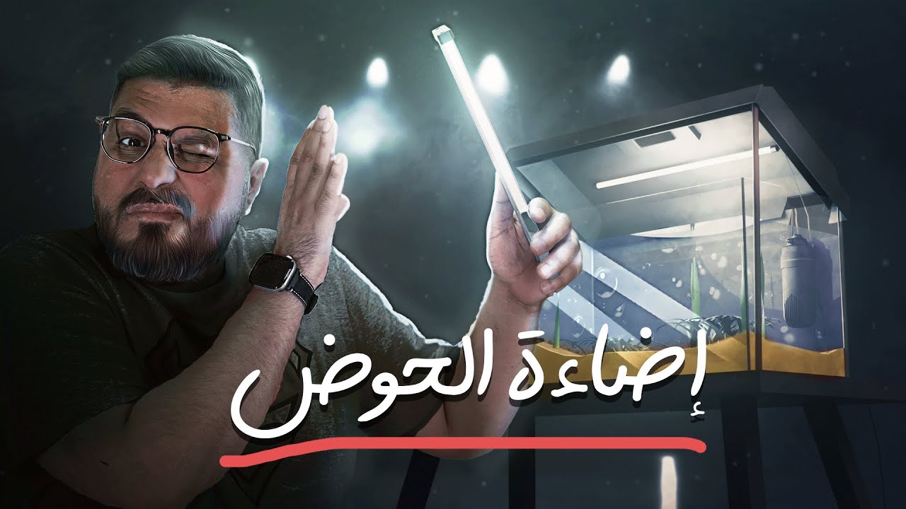 إضاءة حوض السمك: السبب الحقيقي للطحالب أو الجمال!