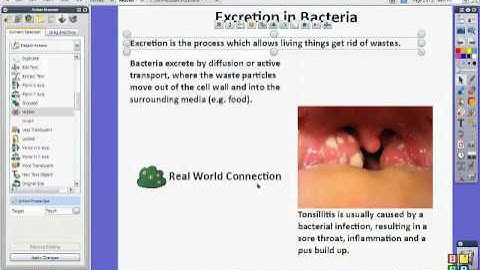 ActivInspire (How to use the Hidden Tool) ‏ - YouTube.flv