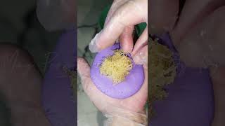 tikoy with bukayo filling