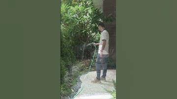 3 lỗi cơ bản khiến sân vườn dễ hỏng #koji #hocakoidep #thietkesanvuon #nhadep #hocakoi #sanvuondep