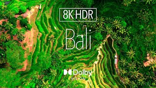 8K HDR 60 fps｜ Widen Your World 10 ｜  🇮🇩 Bali ｜ 4K Dolby Vision