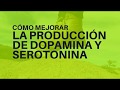 Mejora Tu Estado de Ánimo (Como mejorar la producción de dopamina y serotonina)